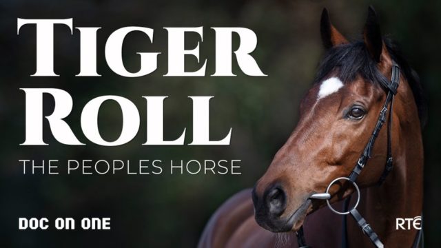 Image for Article:Tiger Roll, The People’s Horse | A new documentary series from RTÉ Documentary on One