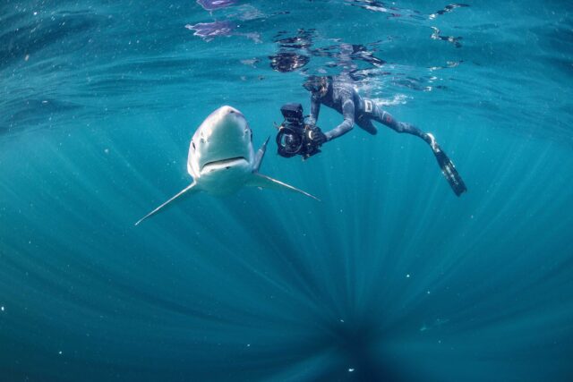 Image for Article:Sraith nua North Atlantic – The Dark Ocean fógartha ag RTÉ