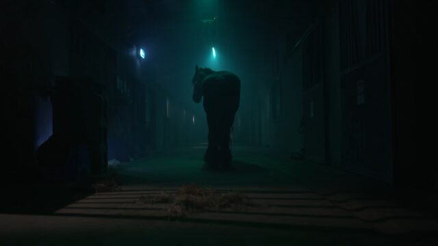 Image for Article:Foilsíonn RTÉ Investigates íomhánna de Dhrochíde á Oibriú ar Chapaill i gCill Dara