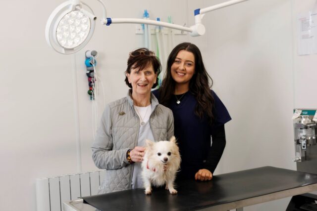 Image for Article:Calling all animal lovers, The Shelter: Animal SOS returns for a sixth season