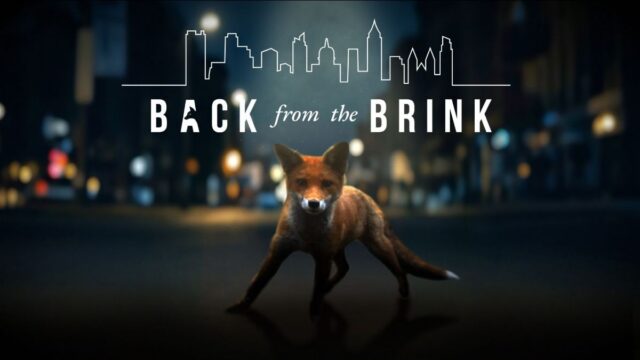 Image for Article:Discover hidden havens for city wildlife as Back From The Brink returns for a fifth season